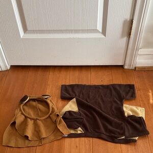 Star Wars Ewok Dog Halloween Costume